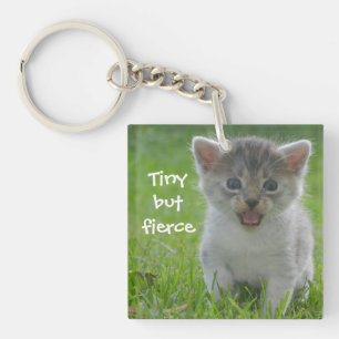 Cute Meow Kitten Tiny but Fierce Key Ring
