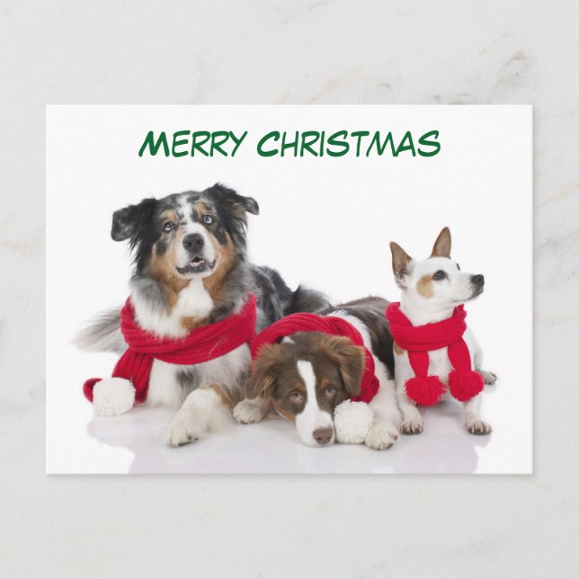 Cute Merry Christmas Dogs Holiday Postcard (Front)
