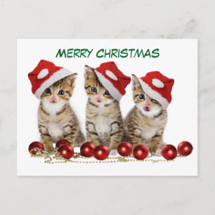 Cute Merry Christmas Kittens Holiday Postcard