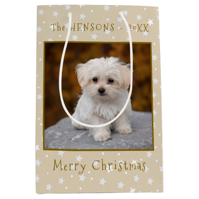 Cute Merry Christmas Pet Dog Photo Medium Gift Bag (Front)