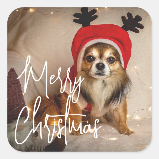 Cute Merry Christmas Pet Photo Square Sticker (Front)