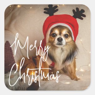Cute Merry Christmas Pet Photo Square Sticker