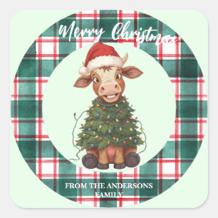 Cute merry Cow Christmas tree calf ox Xmas plaid Square Sticker