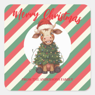 Cute merry Cow Christmas tree calf ox Xmas plaid Square Sticker