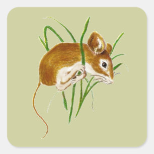 Cute Mice,Mouse Watercolor Animal Nature Square Sticker