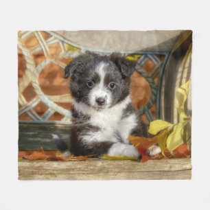 Cute Mini Aussie Shepherd Dog Bi-Colour Puppy _  Fleece Blanket