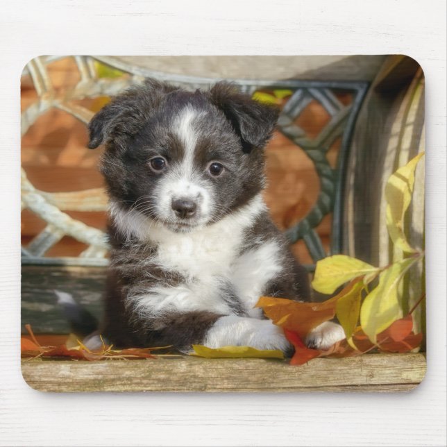 Cute Mini Aussie Shepherd Dog Bi-Colour Puppy Mouse Mat (Front)