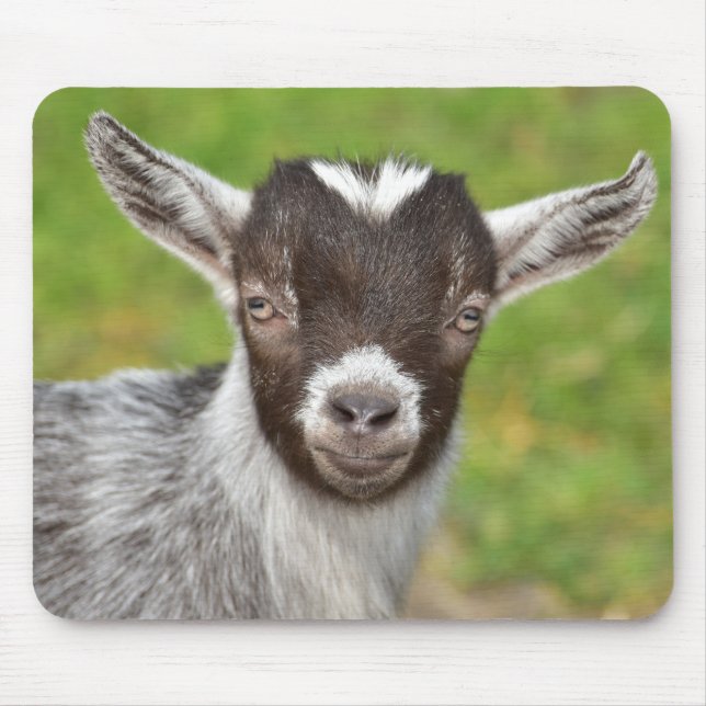 Cute Mini Dwarf Goat Kid Mouse Pad (Front)
