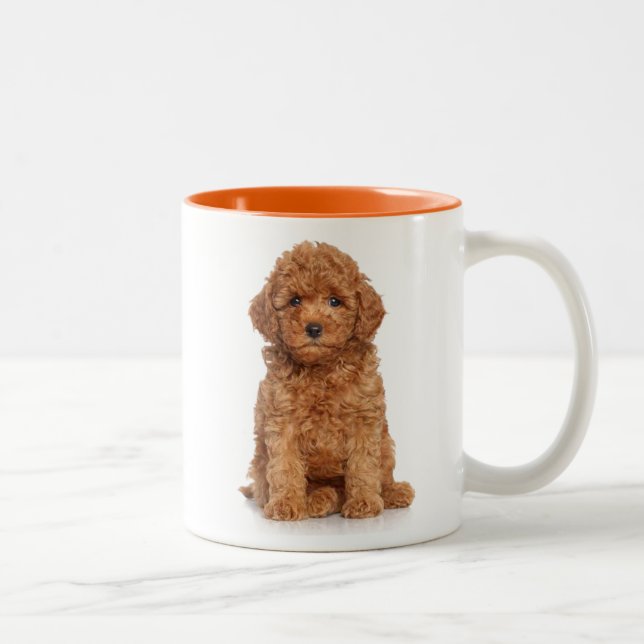Cute Mini Golden Doodle Two-Tone Coffee Mug (Right)