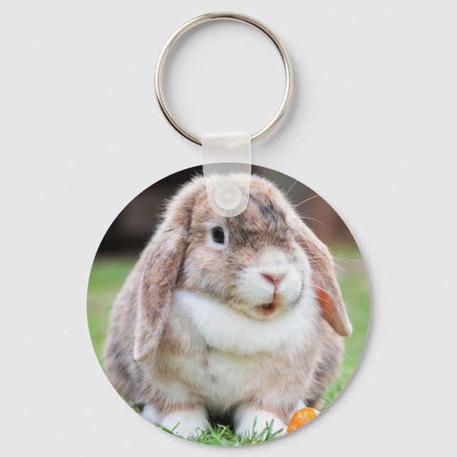 Cute Mini Holland Lop Bunny Rabbit Key Ring (Front)