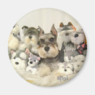 CUTE Mini Schnauzer Magnet