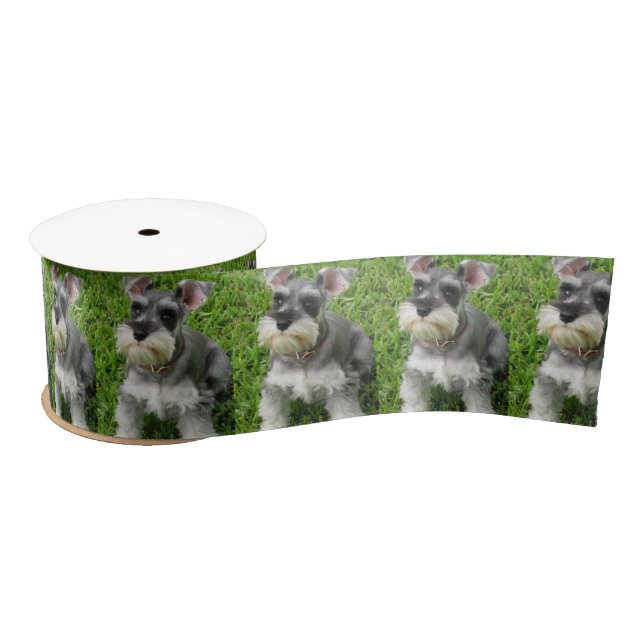 Cute Mini Schnauzer on Grass Spool of Ribbon Satin Ribbon (Spool)