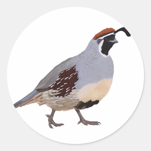 Cute Minimal Quail Drawing Classic Round Sticker (Front)