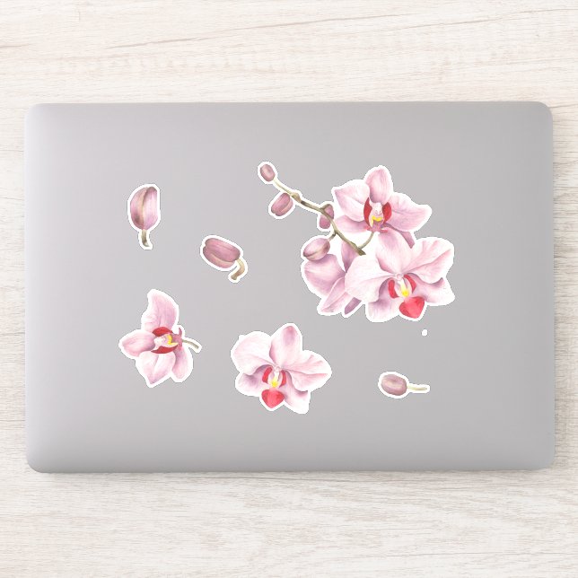 Cute Minimalist Watercolor orchid (Computer)