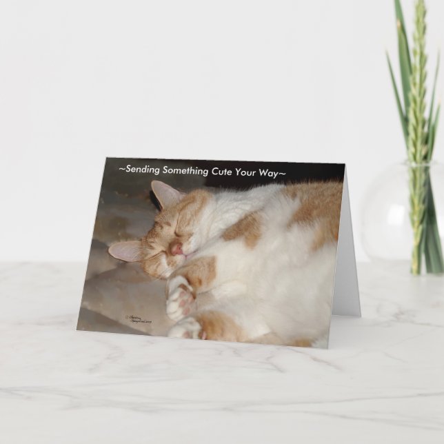 Cute miss and love you Cat Greeting Card (Front)