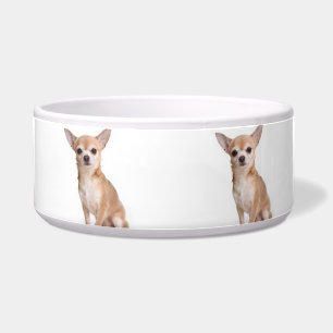 Cute Modern Dog Chihuahua Pattern White