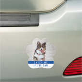 Cute Modern Fun Dog Paw Pet Photo Car Magnet (In Situ)