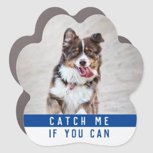 Cute Modern Fun Dog Paw Pet Photo Car Magnet
