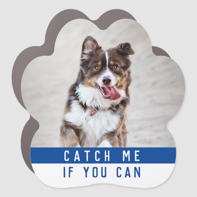 Cute Modern Fun Dog Paw Pet Photo Car Magnet (Front)