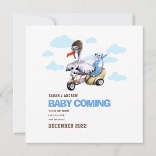 Cute Modern Whimsical Funny Stork  Pregnancy  Announcement