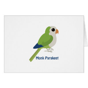 Cute Monk Parakeet