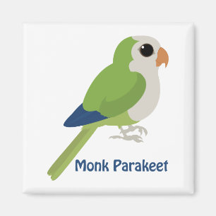 Cute Monk Parakeet Magnet