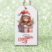Cute Monkey Gift Package Christmas