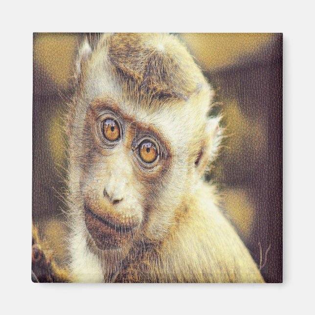 Cute monkey magnet (Front)