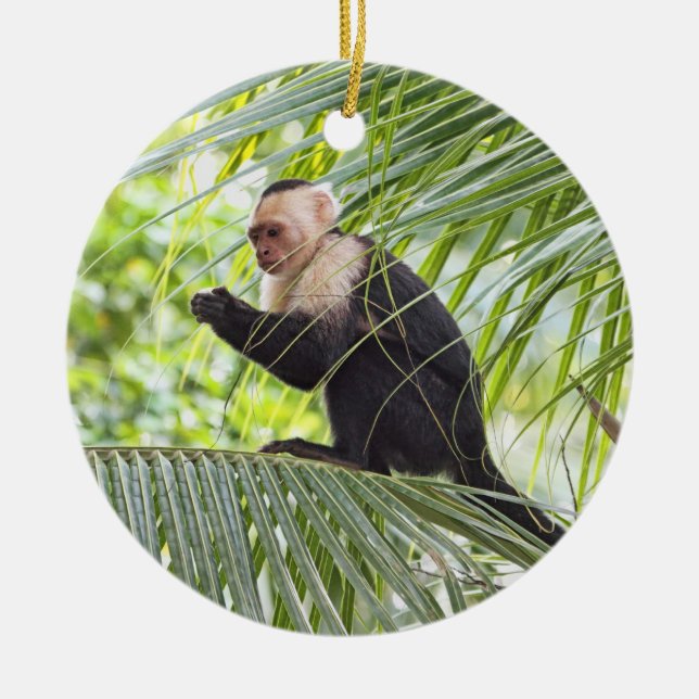Cute Monkey on a Palm Tree Ceramic Tree Decoration (Front)