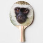 Cute monkey portrait