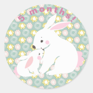 Cute mother & baby bunny Milestone Stickers