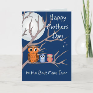 Cute Mothers Day Owl and 2 Owlets Card