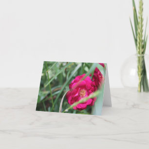 Cute Mothers Day Rose Holiday Card