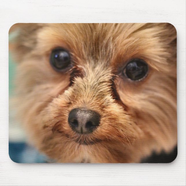 Cute Mouse Mat (Front)