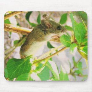 Cute Mouse Mat