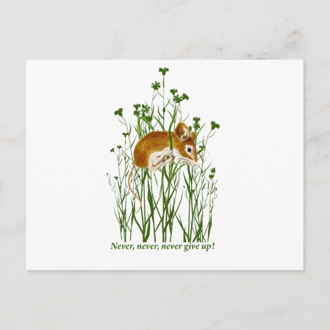 Cute Mouse Motivational Quote Never Give up Postcard (Front)