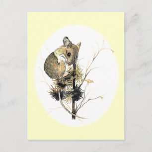 Cute Mouse Postcard