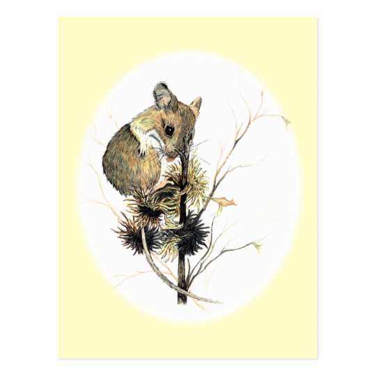 Cute Mouse Postcard
