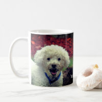 Cute Muddy Faced Poodle Personalised