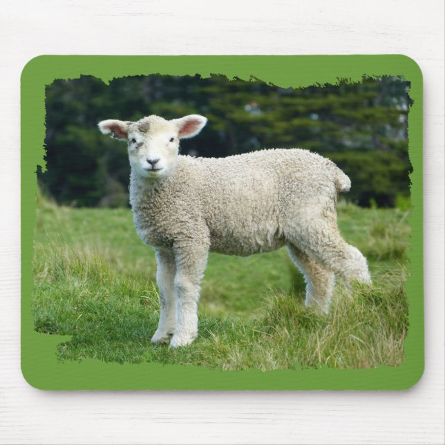Cute Muddy Lamb Baby Sheep in Meadow Mouse Mat (Front)