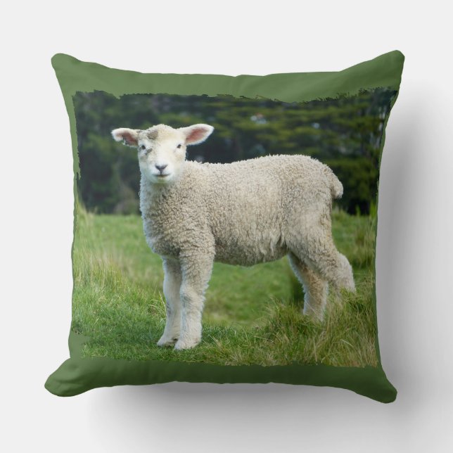 Cute Muddy Lamb in Meadow Ragged Edge Design Cushion (Front)