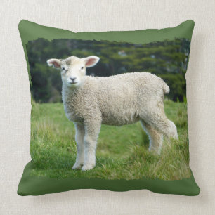 Cute Muddy Lamb in Meadow Ragged Edge Design Cushion