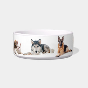 Cute Multi‑Pet Illustrated Ceramic Bowl