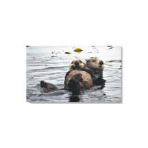 Cute Mum and Pup Sea Otters