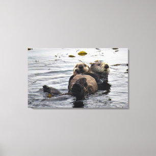 Cute Mum and Pup Sea Otters Canvas Print