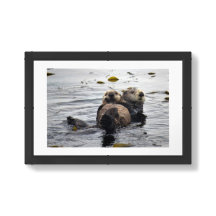 Cute Mum and Pup Sea Otters