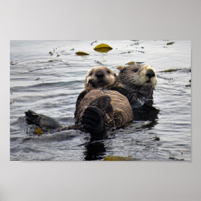 Cute Mum and Pup Sea Otters Poster (Front)