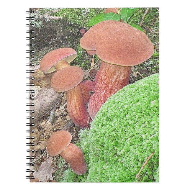 Cute Mushroom Family Notebook (Front)