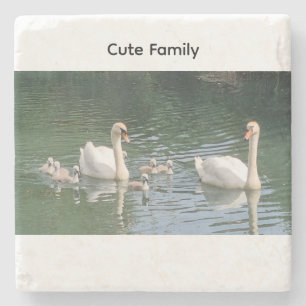 Cute Mute Swan Family Stone Coaster