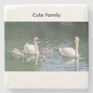 Cute Mute Swan Family Stone Coaster